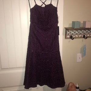 Lulus dress NWT